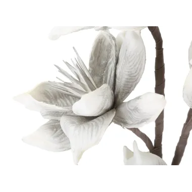 WINTERSWEET FLOWER X5 SZARY Ø 20X96 MIN 8 cm